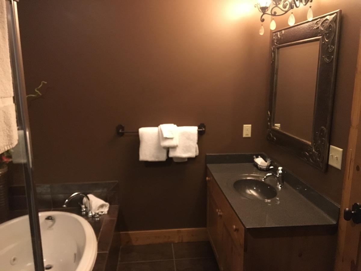 Boyne Mountain Creekside Condo Boyne Falls エクステリア 写真