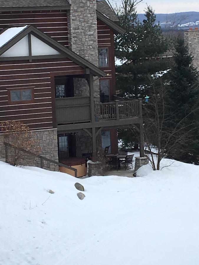 Boyne Mountain Creekside Condo Boyne Falls エクステリア 写真